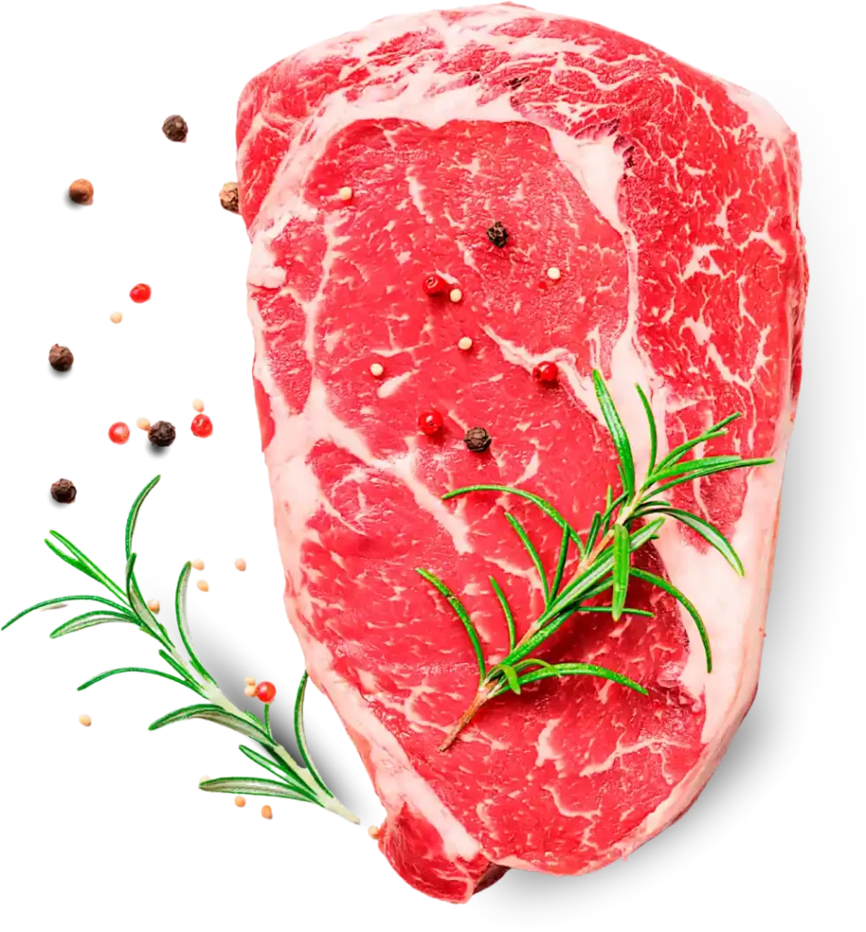 Carne condimentos sabor